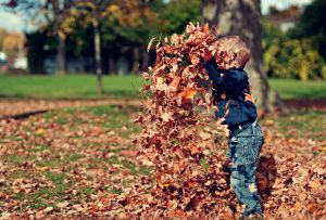 boy-playing-with-fall-leaves-outdoors-36965